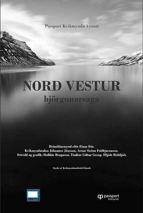 Movie poster for 66/23 North West, The Day of the Avalanche (2010)