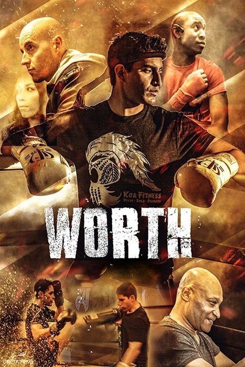 Movie poster for Worth (2018)
