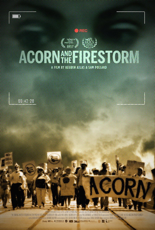 Movie poster for Acorn and the Firestorm (2017)
