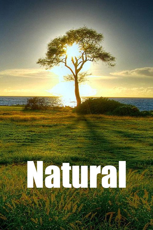 Series poster for Natural (2020)