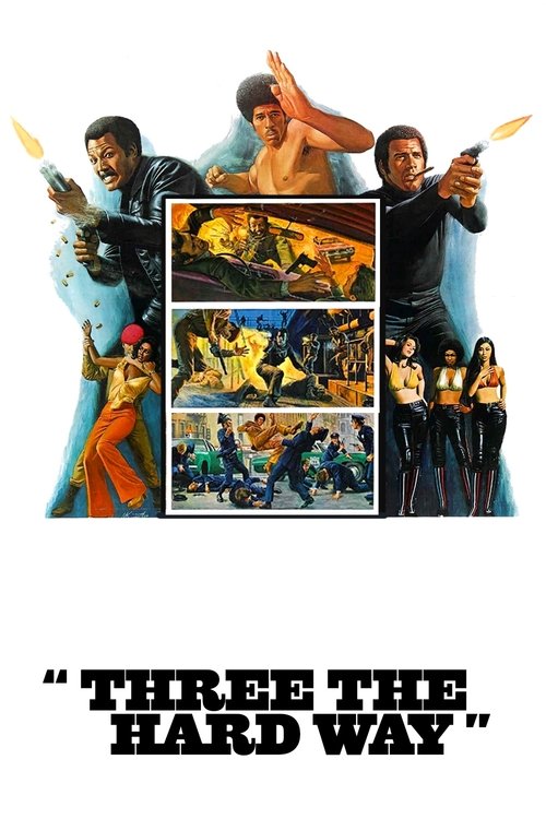Movie poster for Three the Hard Way (1974)