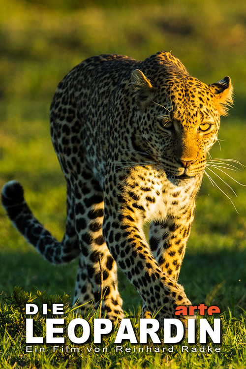 Movie poster for The Leopardess (2020)