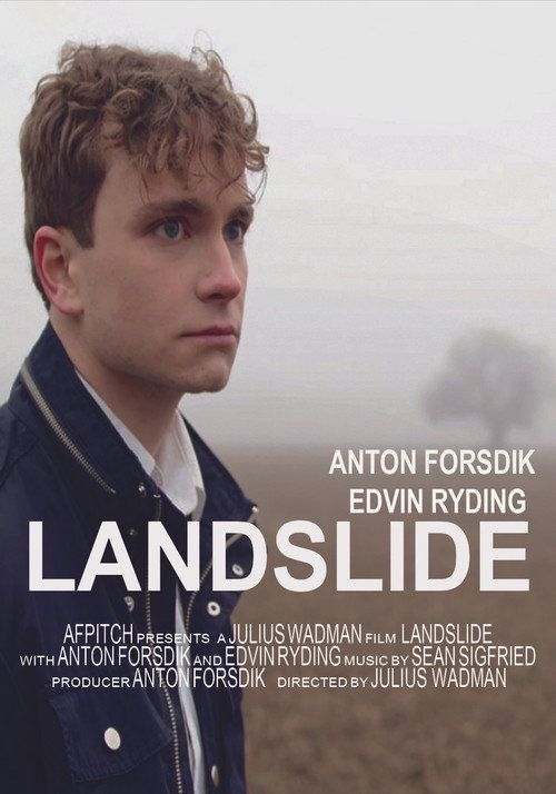 Movie poster for Landslide (2024)