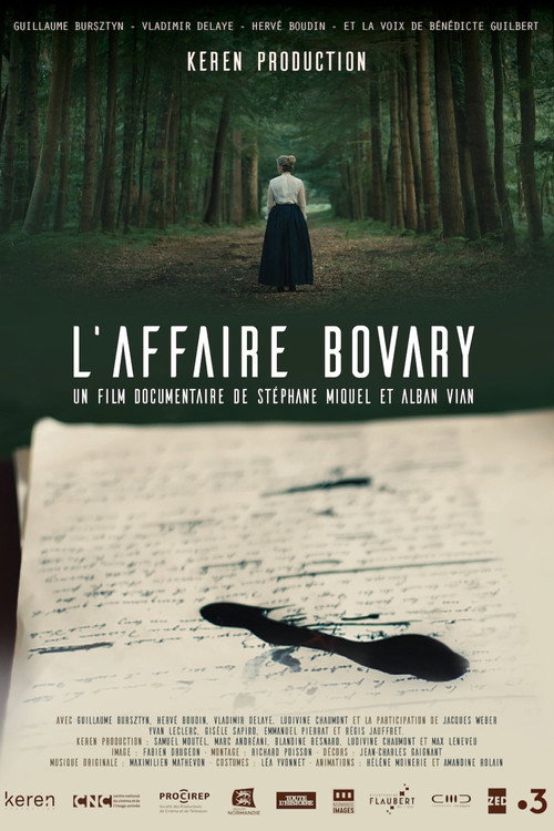 Movie poster for L'affaire Bovary (2021)