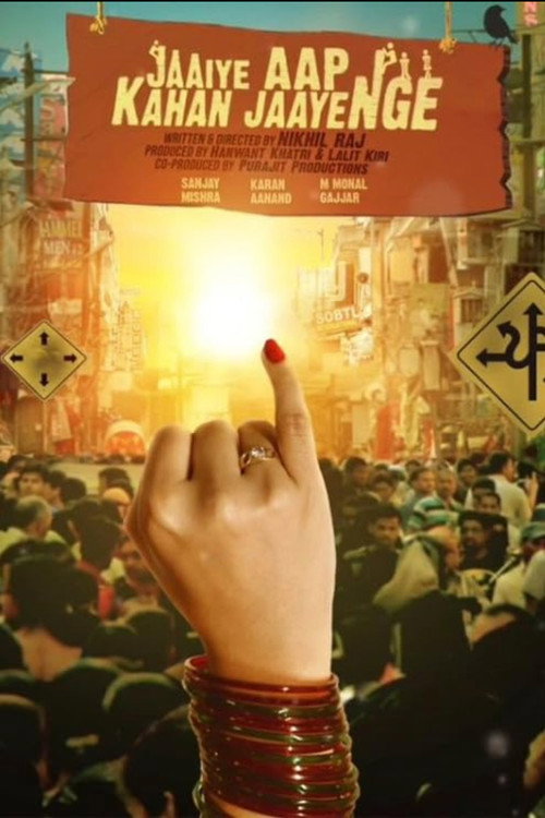 Movie poster for Jaaiye Aap Kahan Jaayenge (2025)
