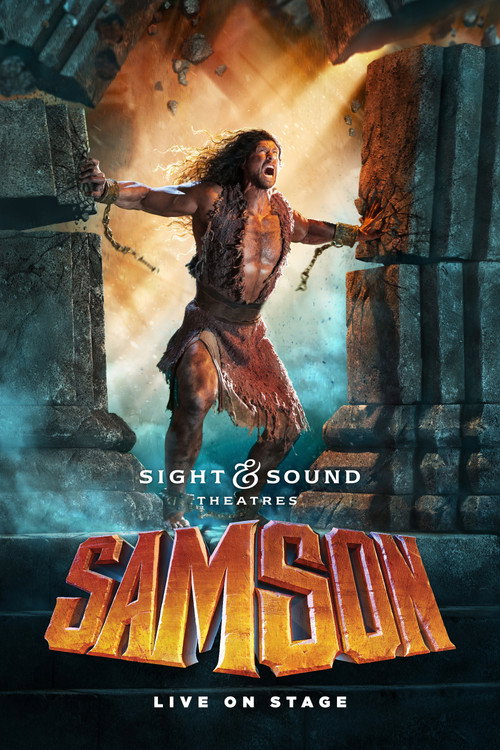 Movie poster for Samson (2017)