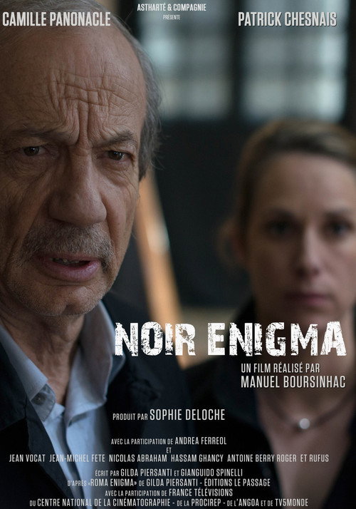 Movie poster for Noir Enigma (2017)