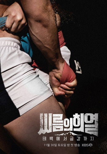 씨름의 희열 - 태백에서 금강까지 poster