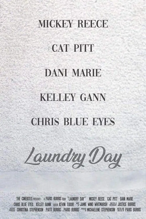 Movie poster for Laundry Day