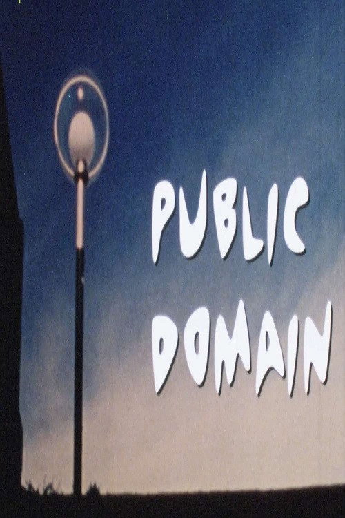Movie poster for Public Domain (1996)
