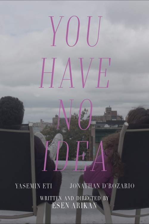 Movie poster for You Have No Idea