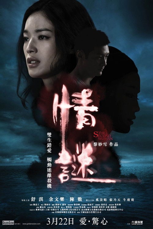 Movie poster for The Second Woman (2012)