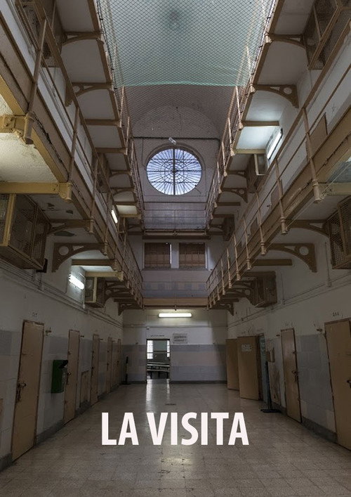 Movie poster for La Visita (2026)