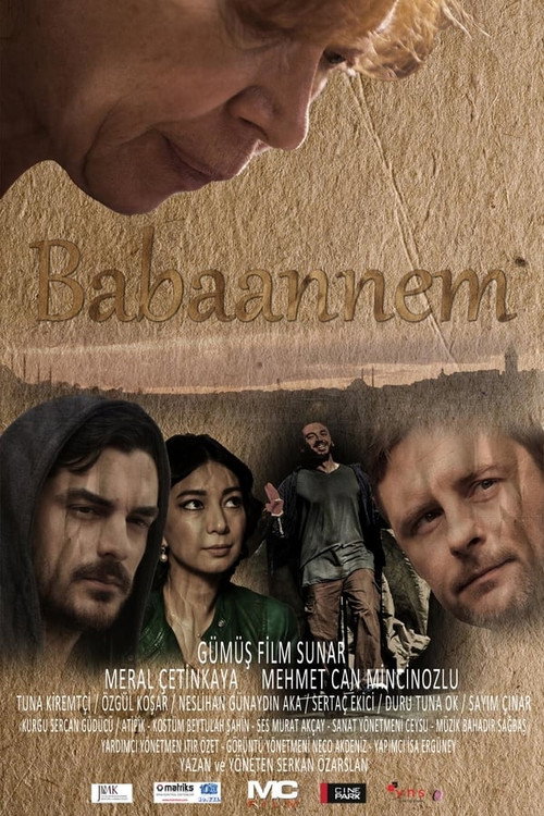 Movie poster for Babaannem (2016)
