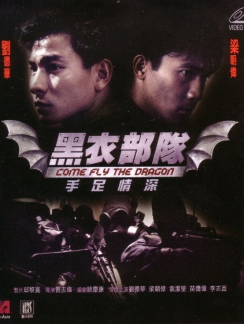 Movie poster for Come Fly the Dragon (1993)
