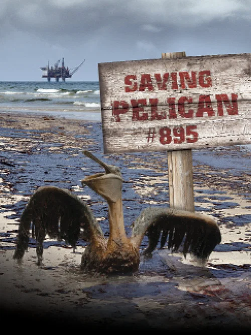 Movie poster for Saving Pelican 895 (2011)