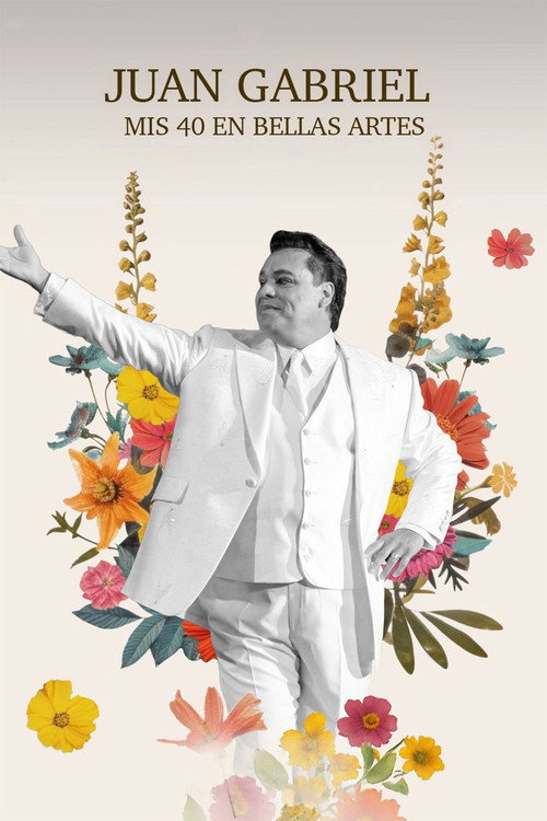 Movie poster for Mis 40 en Bellas Artes (2014)