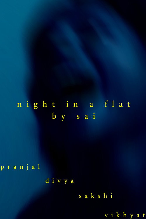 Movie poster for NIGHT IN A FLAT (2025)