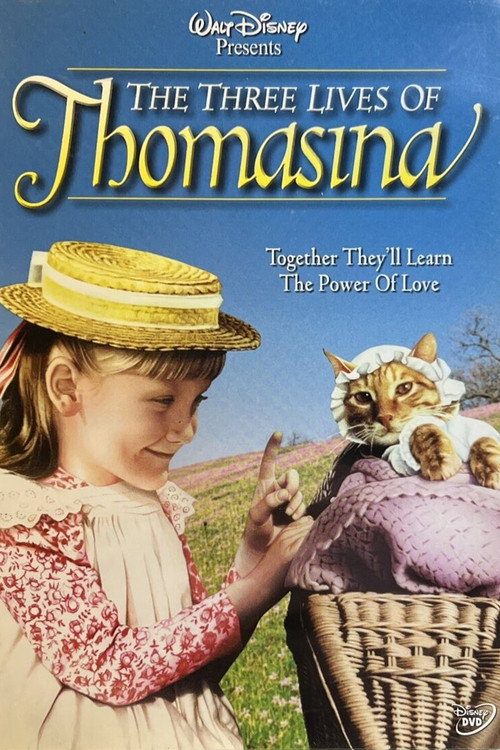 Movie poster for Disney's Beautiful Witch (2004)