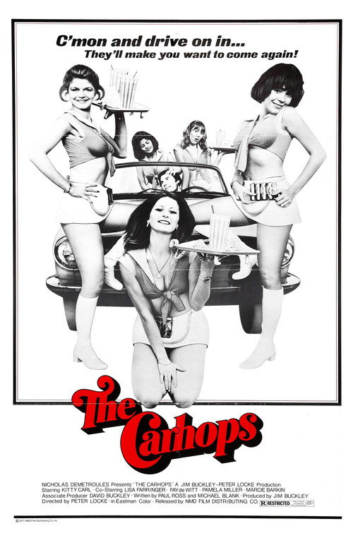 Movie poster for Kitty Can't Help It (1975)