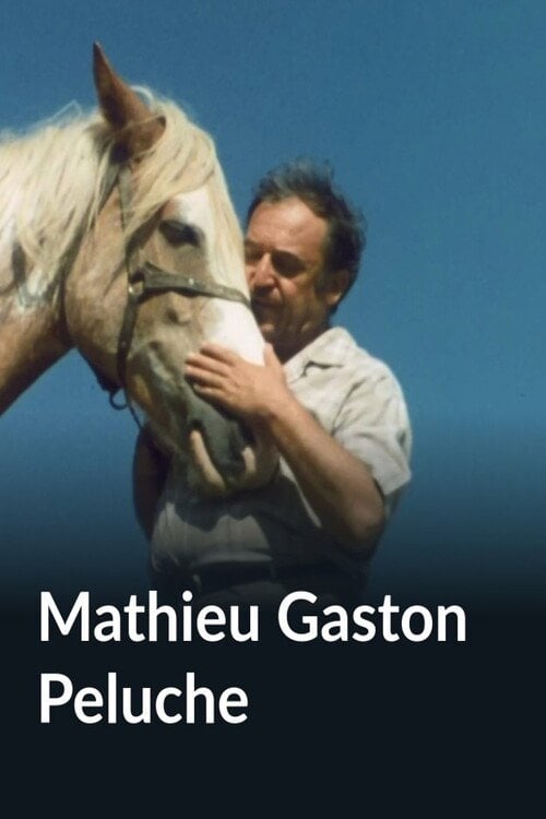 Movie poster for Mathieu Gaston Peluche (1980)