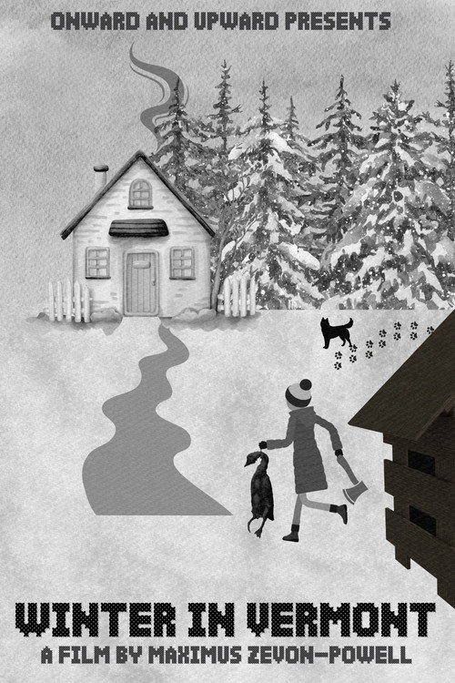 Movie poster for Winter in Vermont