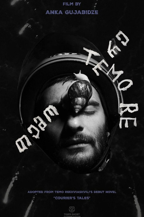Movie poster for Temo Re (2025)