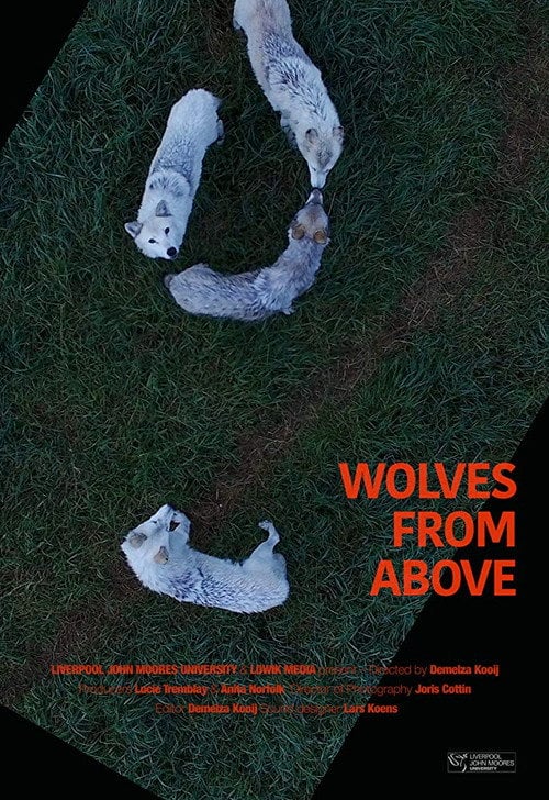 Movie poster for Wolves From Above (2017)