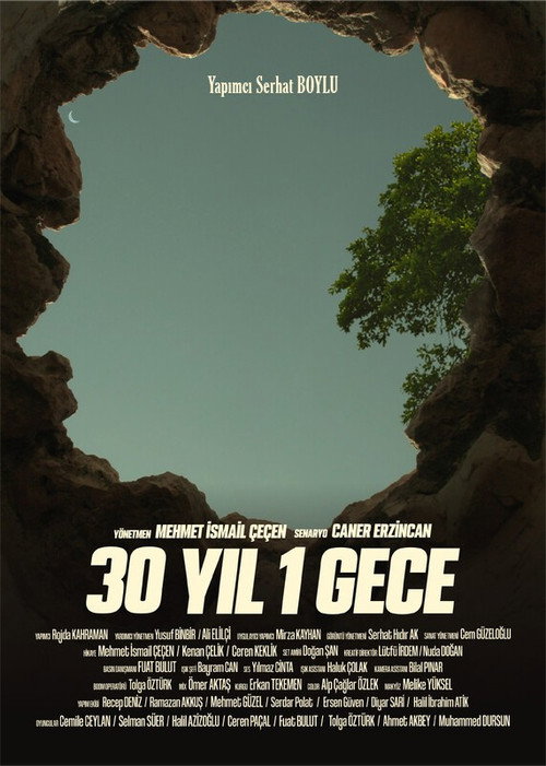 Movie poster for 30 YIL 1 GECE