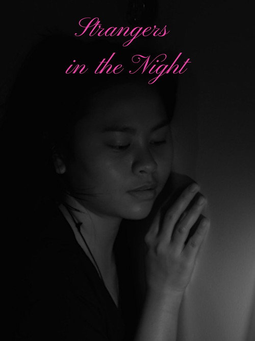 Movie poster for Strangers in the Night (2024)