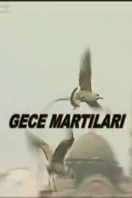 Movie poster for Gece Martıları (2000)