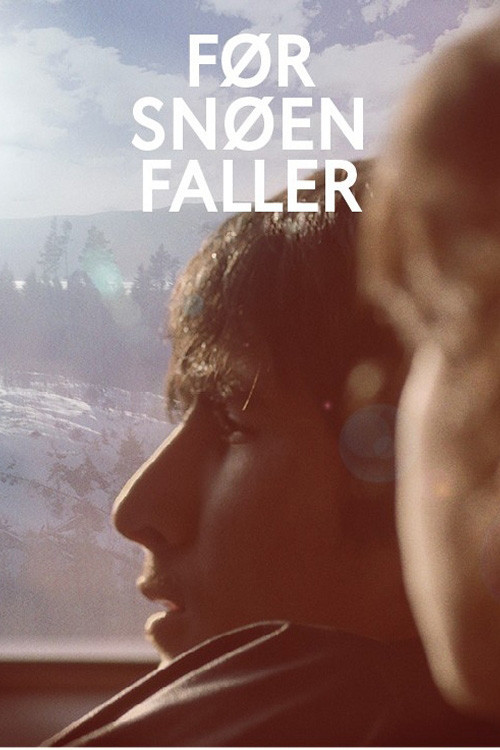 Movie poster for Before Snowfall (2013)