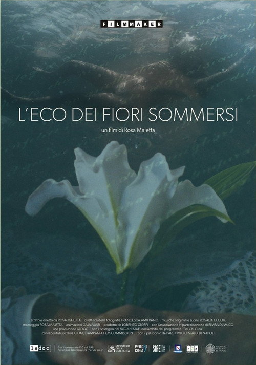 Movie poster for L'eco dei fiori sommersi (2024)