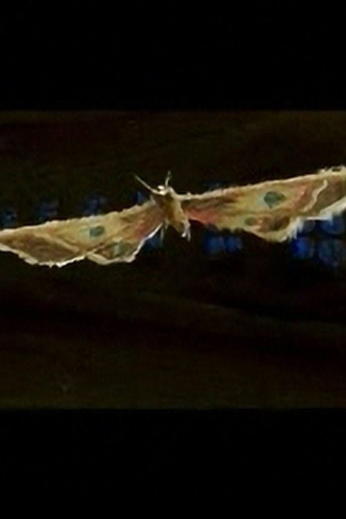 Movie poster for Tooryanse (2004)