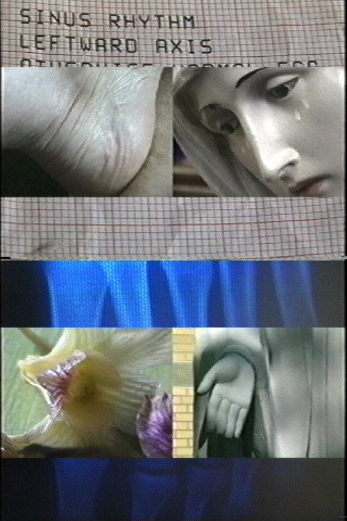 Movie poster for Tabula Rasa (2003)