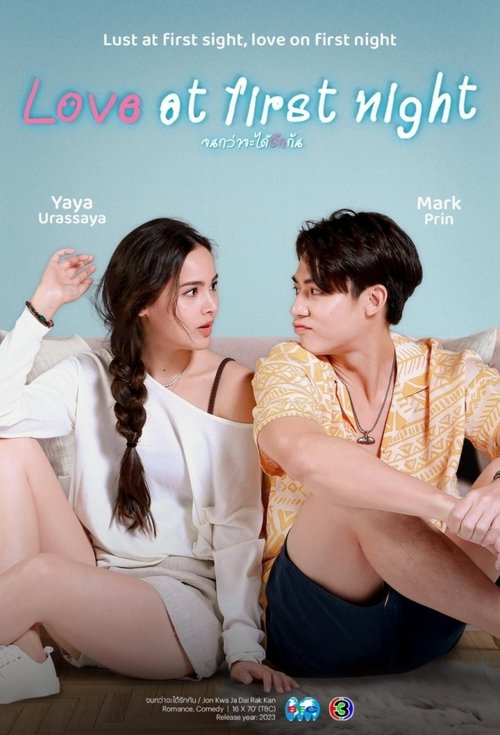 Love at First Night poster