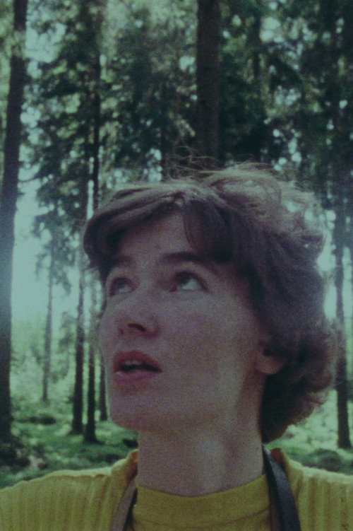 Movie poster for What a Man Lumberjack (1977)