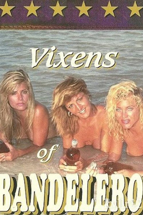 Movie poster for Vixens of Bandelero (1993)
