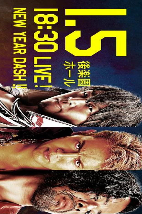 Movie poster for NJPW New Year Dash !! 2016 (2016)