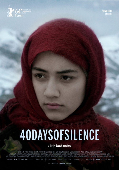 Movie poster for 40 Days of Silence (2014)