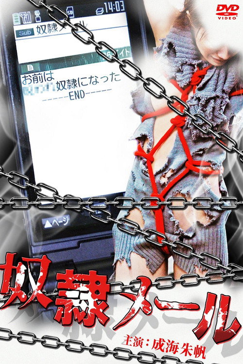 Movie poster for Slave Mail (2010)