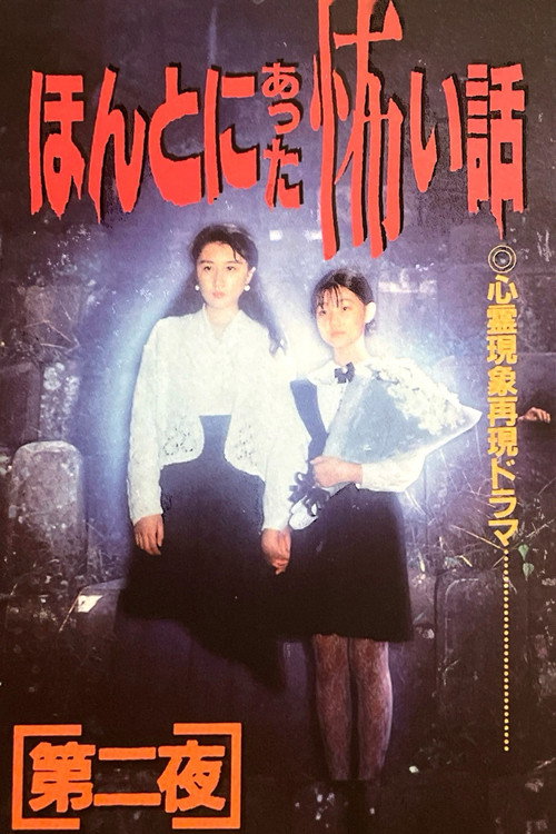 Movie poster for Scary True Stories: Night Two (1992)