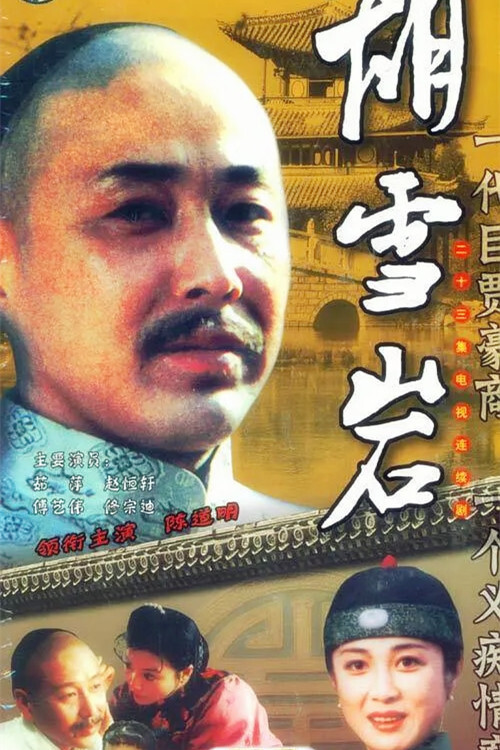 Series poster for 胡雪岩 (1996)