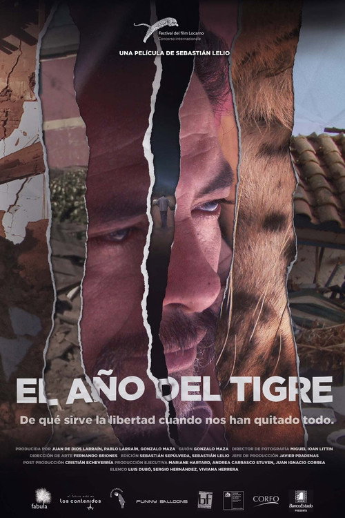Movie poster for The Year of the Tiger (2013)