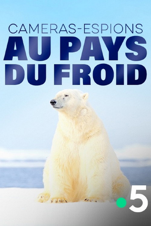 Movie poster for Caméras-espions au pays du froid (2018)