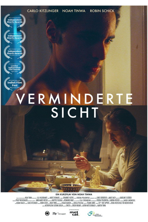 Movie poster for Verminderte Sicht (2020)