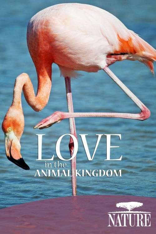 Movie poster for Nature: Love in the Animal Kingdom (2013)