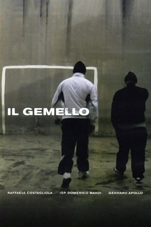 Movie poster for Il gemello (2012)