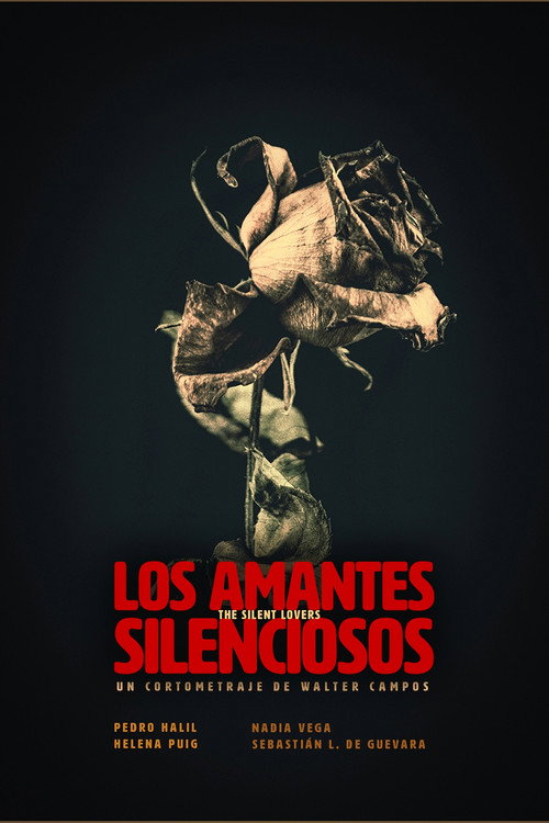 Movie poster for The Silent Lovers (2019)