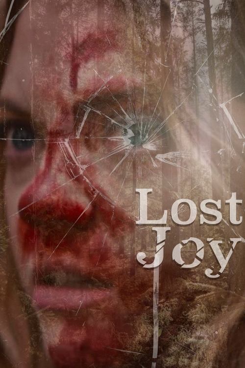 Movie poster for Lost Joy (2025)